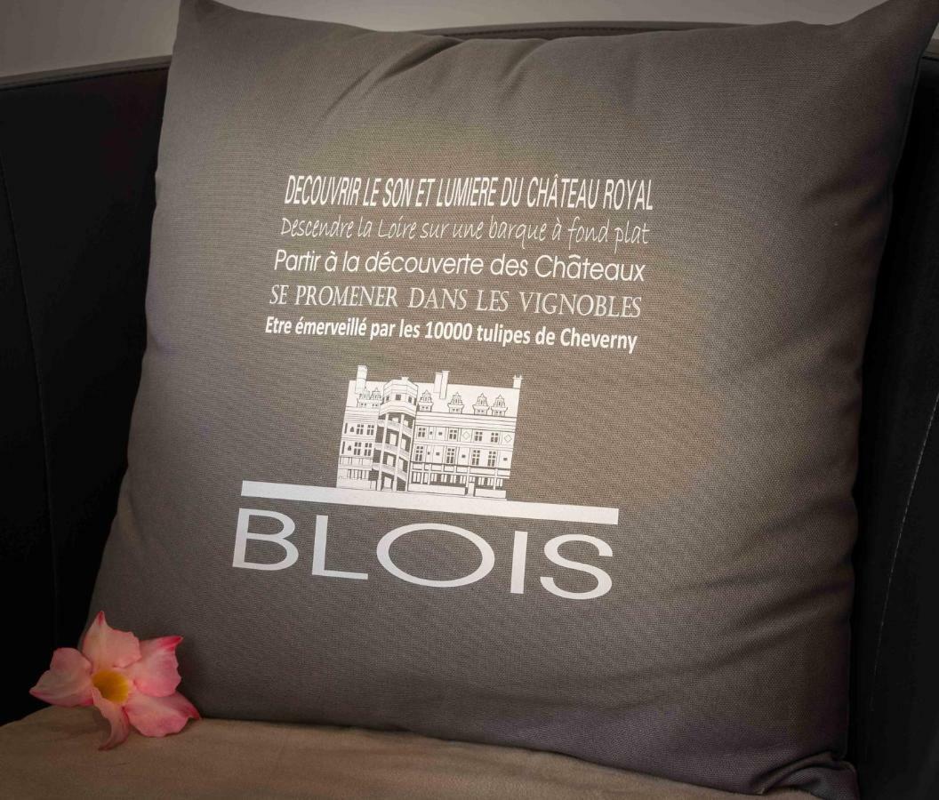 Le Relais Du Petit Lion Apartment Blois Exterior foto