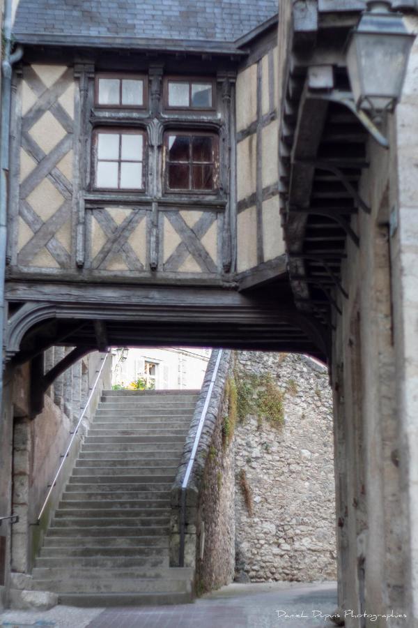 Le Relais Du Petit Lion Apartment Blois Exterior foto